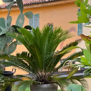 Il Terrazzo Di San Colombano Appartamento Bologna